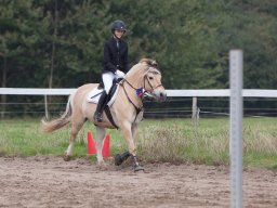 IMG_8037_web